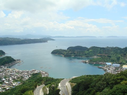 野福峠から見た宇和海